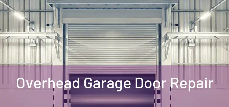  Overhead Garage Door Repair 